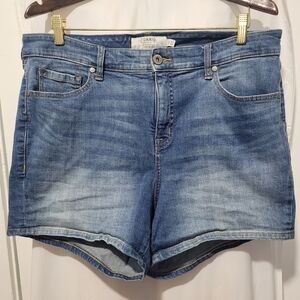 Torrid denim short size 16
